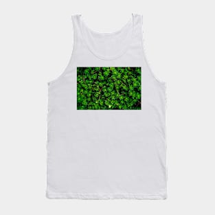 Succulents Tank Top